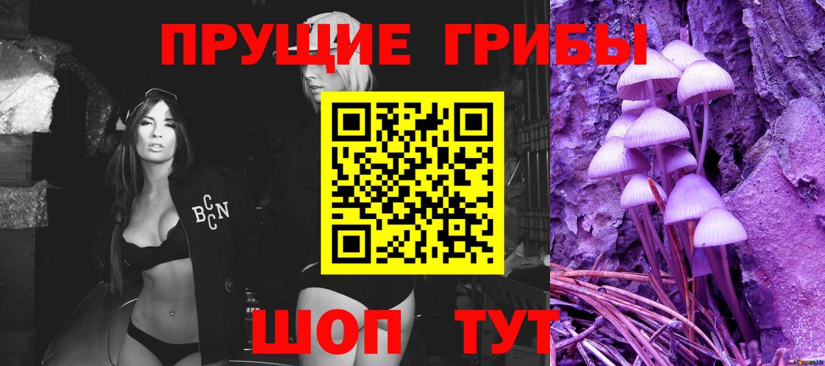 Архангельск  Псилоцибиновые грибы MAGIC MUSHROOMS  цена   Вход с VPN 