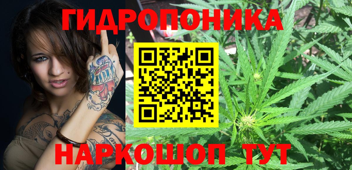 Архангельск  Марихуана Bruce Banner  Бошки Шишки сатива  Вход с VPN  Канабис OG Kush  Каннабис индика 
